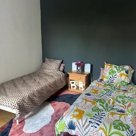 Appartement Spacious Near Strasbourg